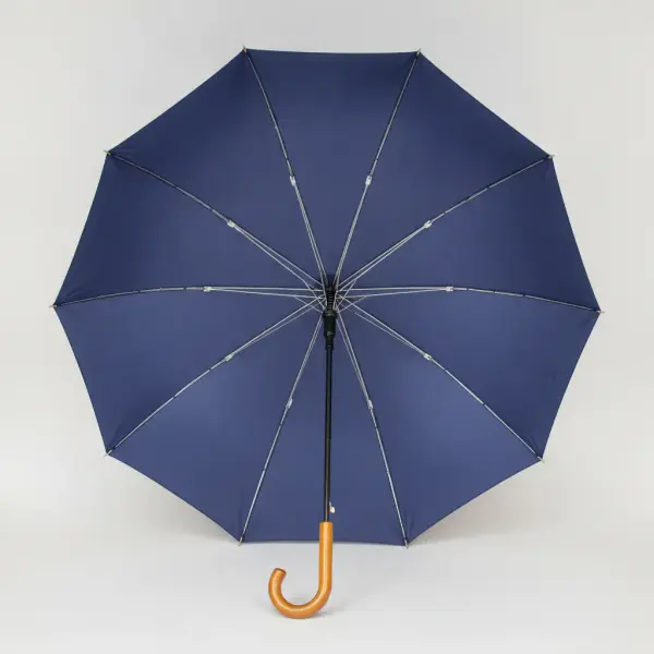Picture for the word umbrella