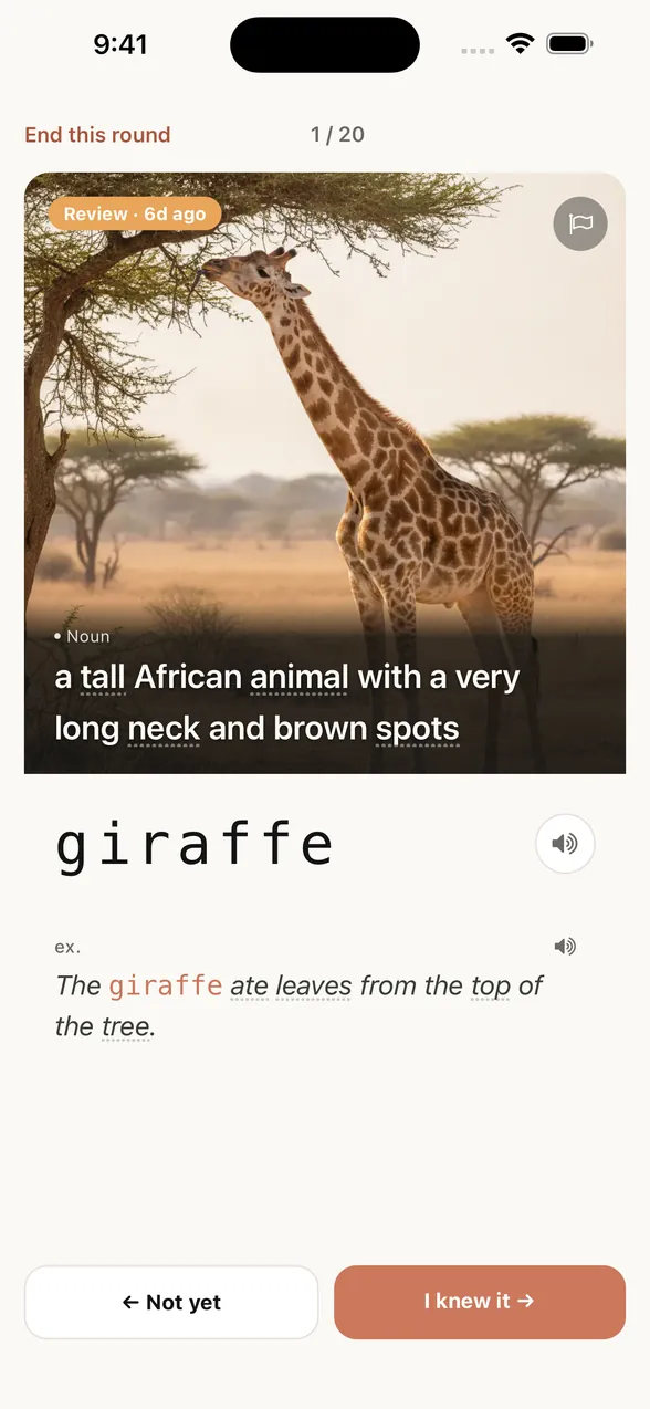 App screen after “Show answer”: the word is giraffe, with an example sentence.