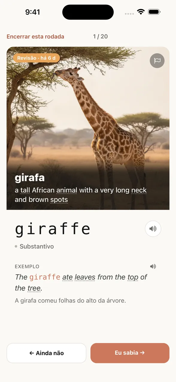 Tela do app depois de ver a resposta: a palavra é giraffe (girafa), com uma frase de exemplo e a tradução em português.