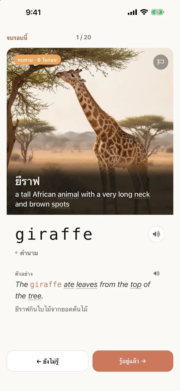 หน้าจอแอปหลังดูคำตอบ: คำนี้คือ giraffe (ยีราฟ) พร้อมประโยคตัวอย่างและคำแปลภาษาไทย