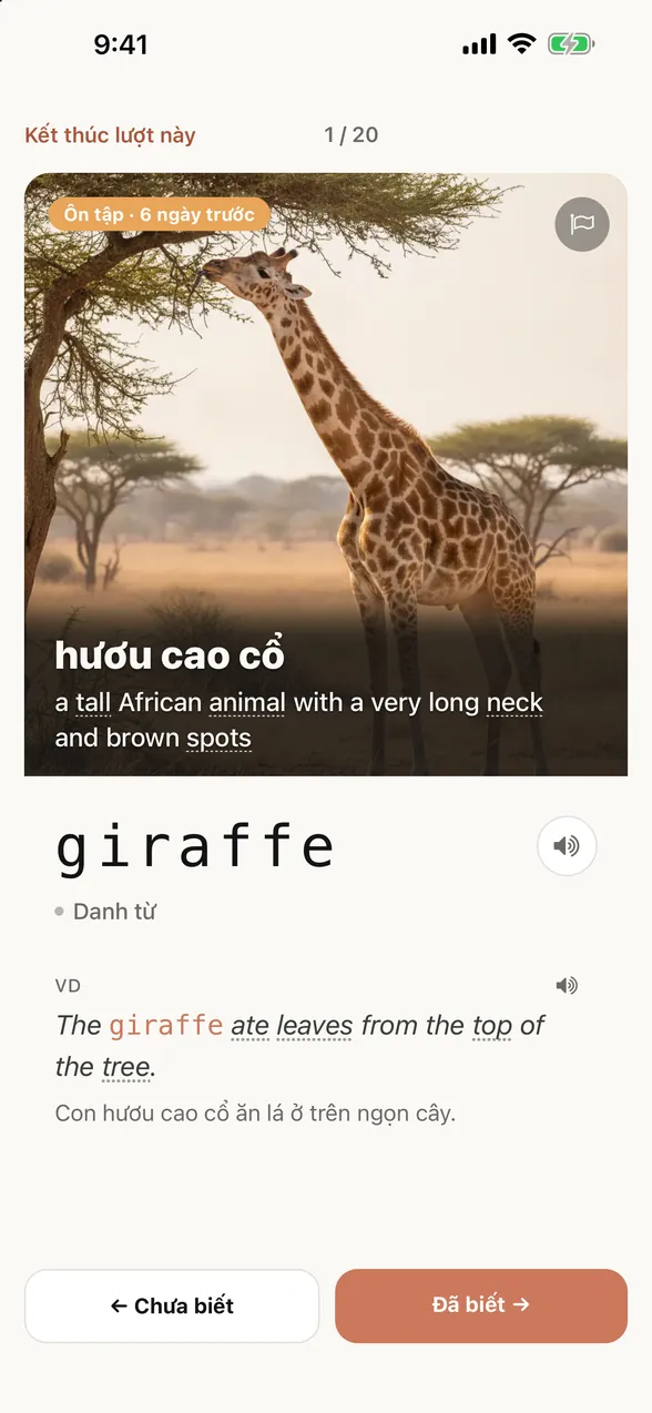 Màn hình ứng dụng sau khi xem đáp án: từ là giraffe (hươu cao cổ), kèm câu ví dụ và bản dịch tiếng Việt.