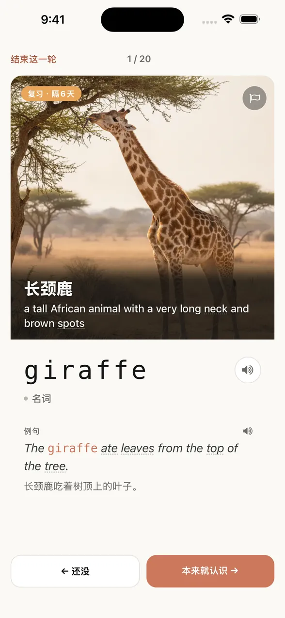 查看答案后的 App 界面。单词是 giraffe（长颈鹿），还显示了例句和中文译文。