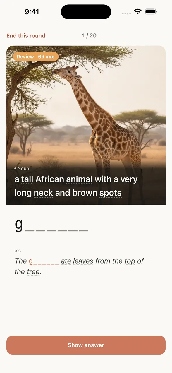 App review screen before the answer: the picture with its English definition, and a letter hint that shows only the first letter.
