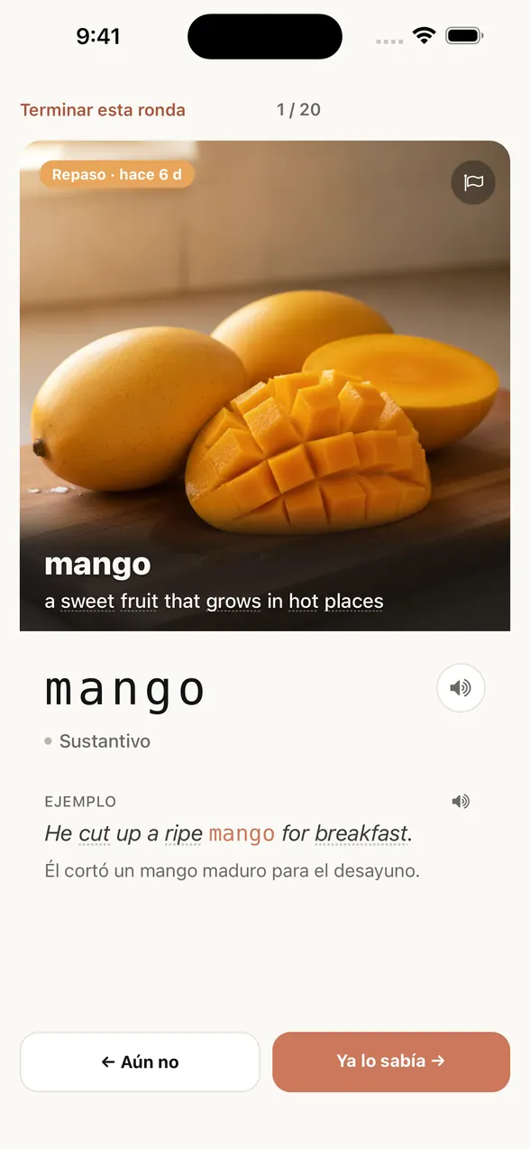 Pantalla de la app después de ver la respuesta: la palabra es mango, con una frase de ejemplo y su traducción al español.