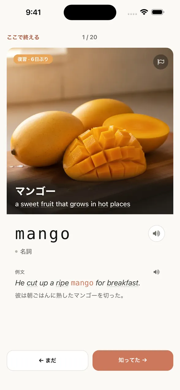 答えを見たあとのアプリの画面。単語は mango（マンゴー）で、例文と日本語訳も出ている。