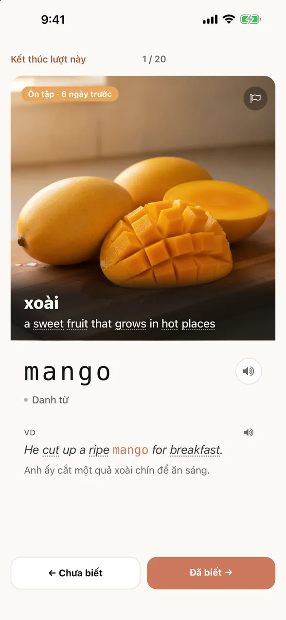Màn hình ứng dụng sau khi xem đáp án: từ là mango (xoài), kèm câu ví dụ và bản dịch tiếng Việt.
