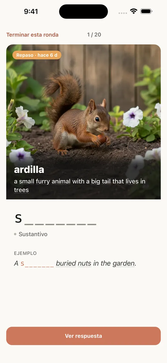 Pantalla de repaso de la app (antes de ver la respuesta): sobre la imagen de una ardilla, el significado en español “ardilla” y la definición en inglés; debajo, la pista de letras (s y siete espacios).