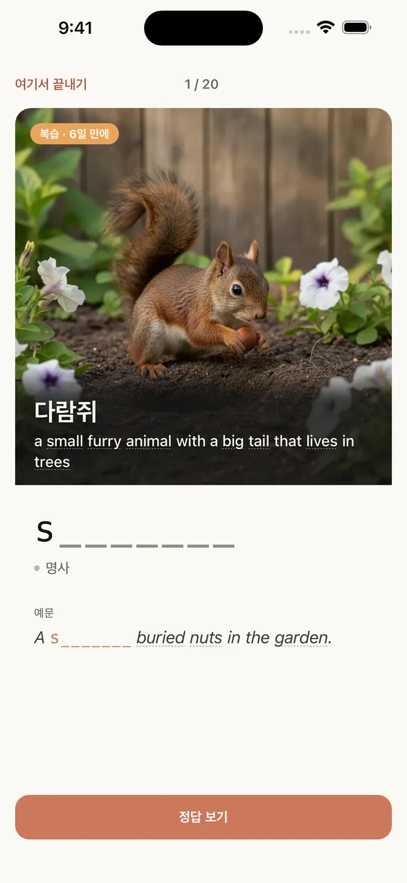 앱의 복습 화면(정답 보기 전). 다람쥐 이미지 위에 한국어 뜻 ‘다람쥐’와 영어 설명이 있고, 그 아래에 글자 힌트(s와 빈칸 7개)가 있어요.