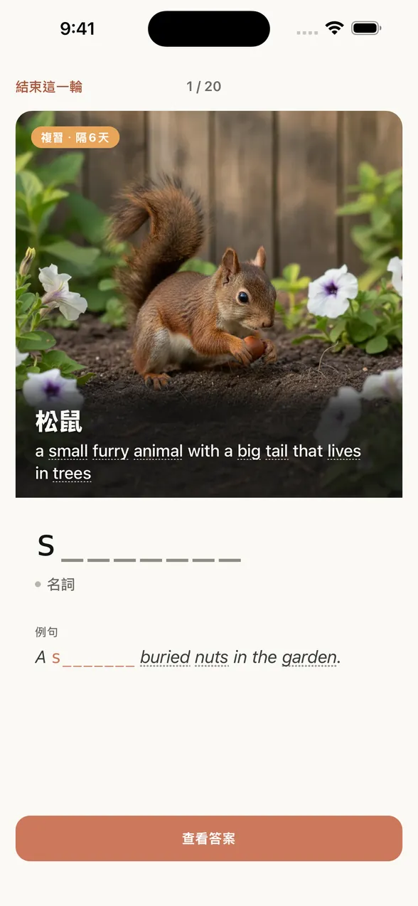 App 的複習畫面（查看答案前）。松鼠圖片上有中文字義「松鼠」和英文釋義，下方是字母提示（s 和 7 個空格）。