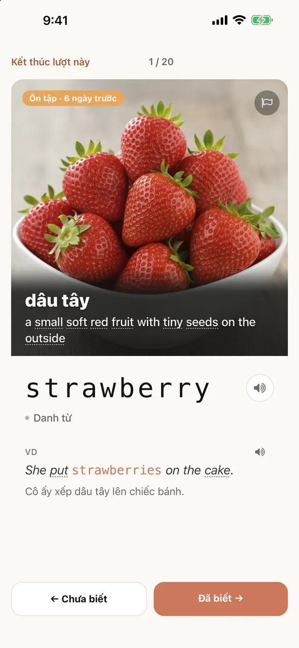 Màn hình ứng dụng sau khi xem đáp án: từ là strawberry (dâu tây), kèm câu ví dụ và bản dịch tiếng Việt.