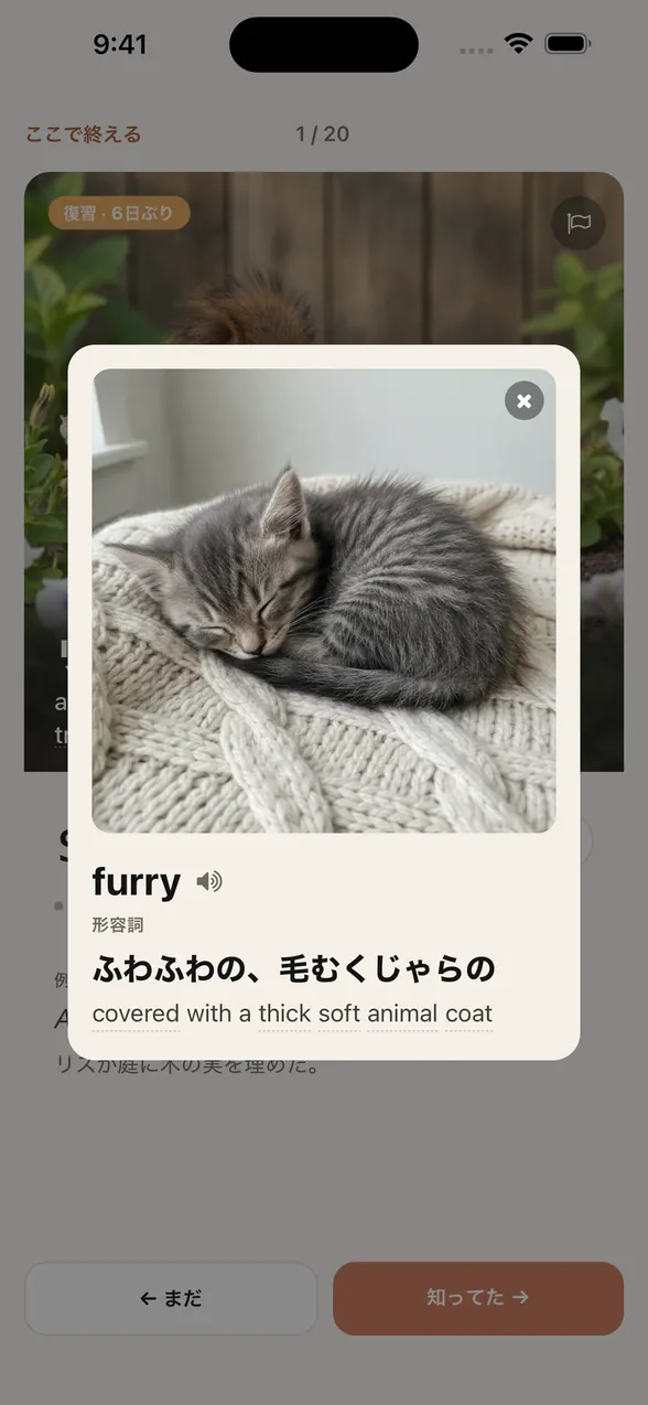 furry をタップすると、squirrel のカードの上に、眠る子猫の画像、品詞、日本語の意味「ふわふわの、毛むくじゃらの」と英語の定義「covered with a thick soft animal coat」が開く。