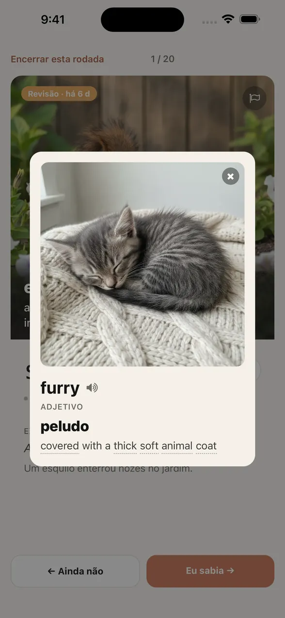 Ao tocar em furry, abre-se sobre o cartão de squirrel outro cartão com a imagem de um gatinho dormindo, a classe gramatical, o significado em português “peludo” e a definição em inglês “covered with a thick soft animal coat”.