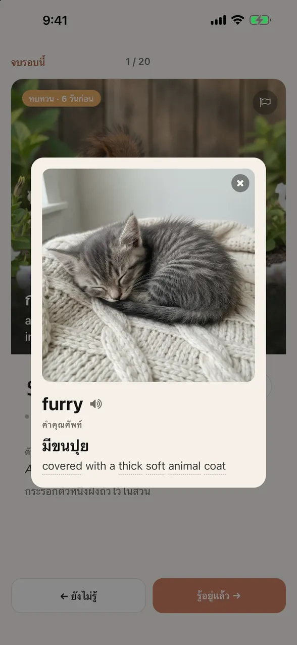 เมื่อแตะ furry จะมีการ์ดอีกใบเปิดขึ้นบนการ์ด squirrel พร้อมรูปลูกแมวกำลังนอนหลับ ชนิดของคำ ความหมายภาษาไทย “มีขนปุย” และคำนิยามภาษาอังกฤษ “covered with a thick soft animal coat”