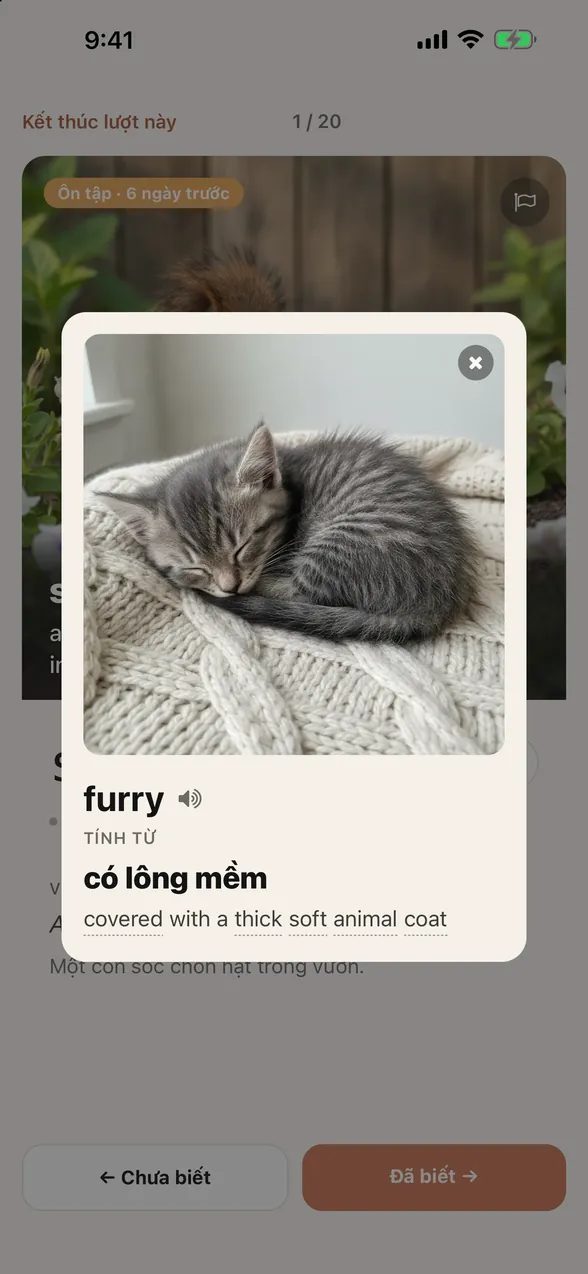 Khi chạm vào furry, một thẻ khác mở ra trên thẻ squirrel, có hình chú mèo con đang ngủ, từ loại, nghĩa tiếng Việt “có lông mềm” và định nghĩa tiếng Anh “covered with a thick soft animal coat”.