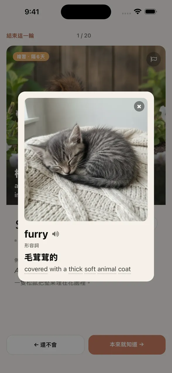 點一下 furry，squirrel 卡片上方會跳出一個視窗，顯示熟睡小貓的圖片、詞性、中文字義「毛茸茸的」和英文釋義「covered with a thick soft animal coat」。