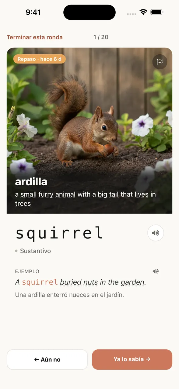 La misma pantalla después de ver la respuesta: la palabra es squirrel (ardilla), con una frase de ejemplo y su traducción al español.