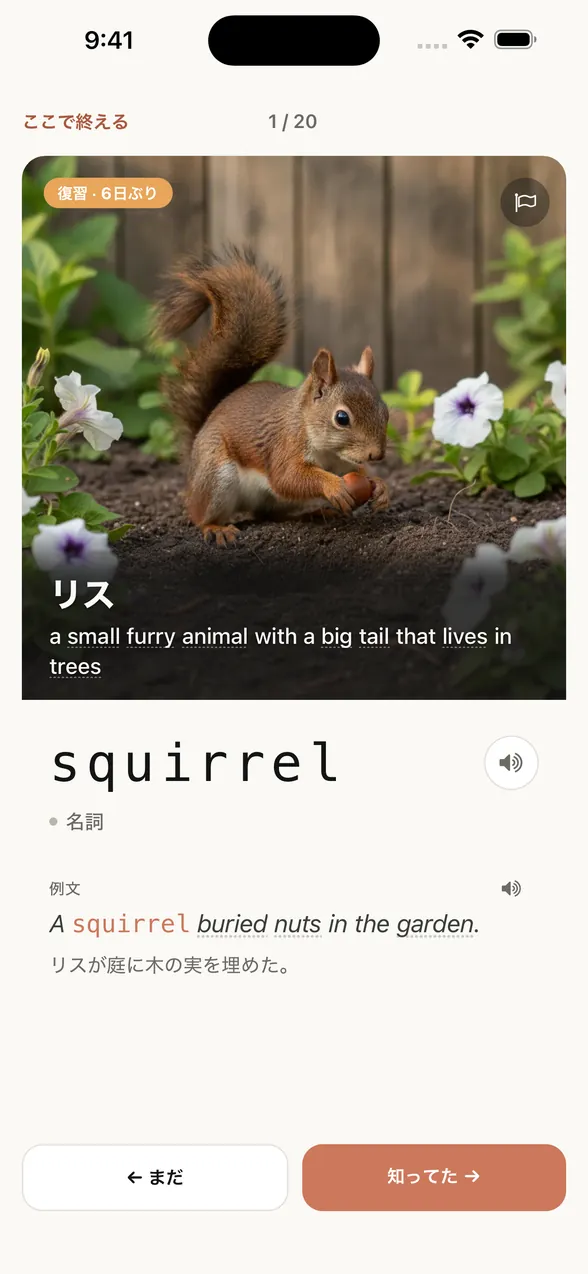 答えを見たあとの同じ画面。単語は squirrel（リス）で、例文と日本語訳も出ている。