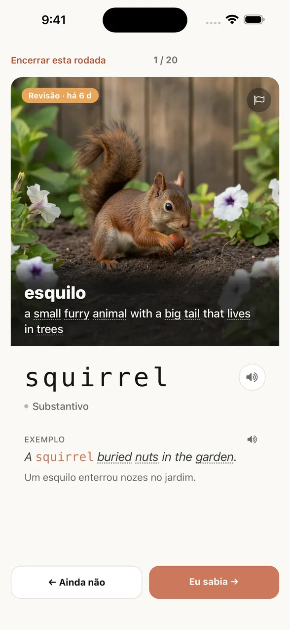A mesma tela depois de ver a resposta: a palavra é squirrel (esquilo), com uma frase de exemplo e a tradução em português.