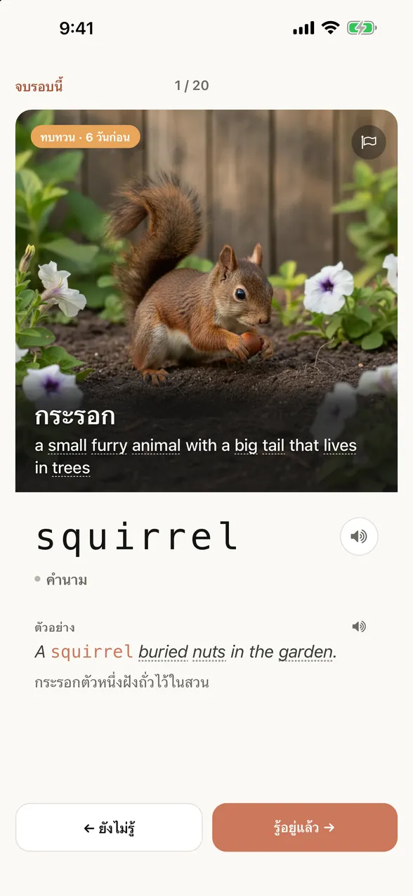 หน้าจอเดียวกันหลังดูคำตอบ: คำนี้คือ squirrel (กระรอก) พร้อมประโยคตัวอย่างและคำแปลภาษาไทย
