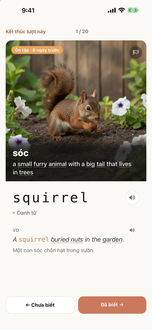Cùng màn hình đó sau khi xem đáp án: từ là squirrel (sóc), kèm câu ví dụ và bản dịch tiếng Việt.